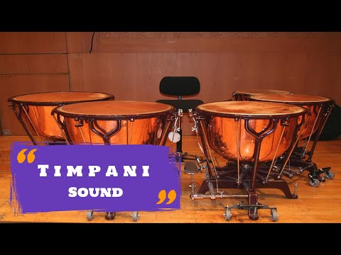 Timpani Sound with Other Drums Music Instrument