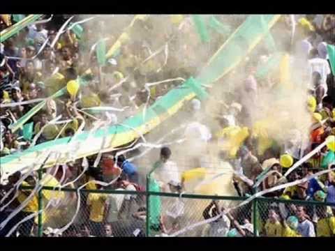 RebeliOn Auriverde Norte