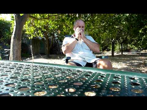download lagu mp3 mp4 Steve Shaw Harmonica, download lagu Steve Shaw Harmonica gratis, unduh video klip Steve Shaw Harmonica