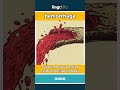 hemorrhage (noun) - definition and usage in English
