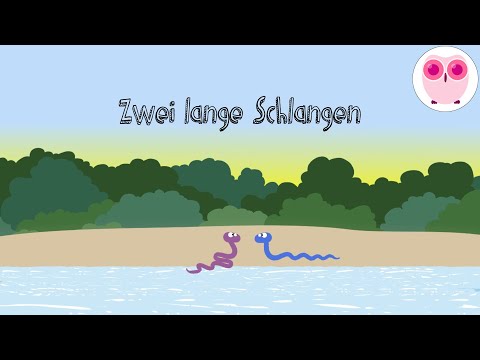 Zwei lange Schlangen