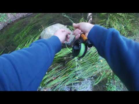 Juuson kalastuskanava-esittely