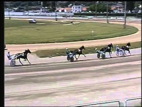 Trotto 31/05/2015 - 2° corsa