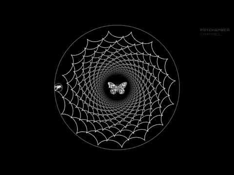 Spyder Step - Psybient, Psychill, Ethnic, Downtempo Mix