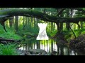 #TBT: Joseph Westphal - Peace (NHYX Remix ...