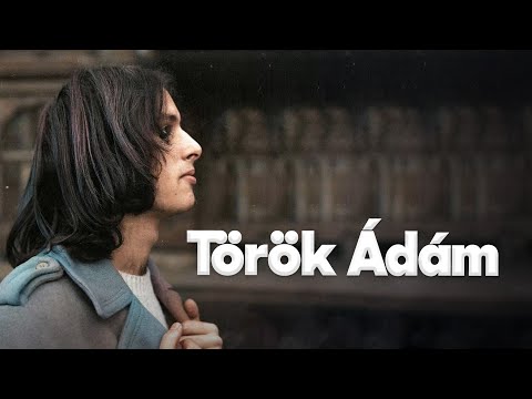 Török Ádám és a Mini koncert - A legjobb élő slágerek (Vissza a városba, Gőzhajó, Kereszteslovag)