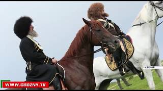 Рамзан Кадыров вместе со своими соратниками побывал в Ножай-Юртовском районе 