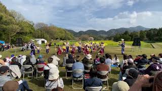 踊り陣 叶和 [川棚菜の花よさこい 2026.04.05(日)]