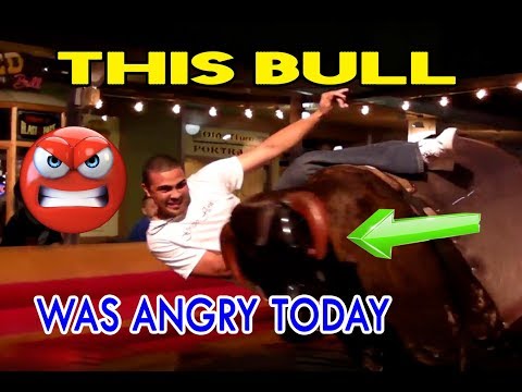 This Bull Was Angry At Me
