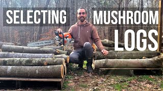 How to Grow Mushrooms on Logs: Wood Selection & Preparation