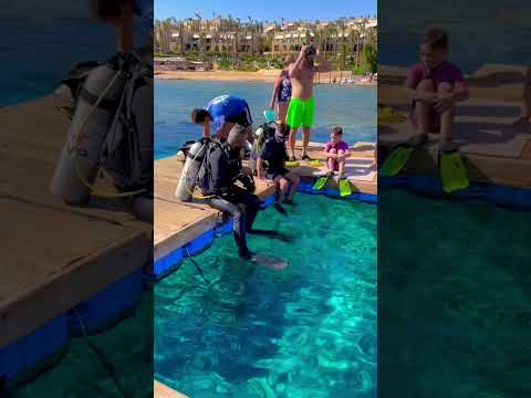 Egypt. Red Sea. December. Sierra hotel