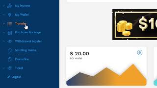 How to do external transfer/P2P transfer?