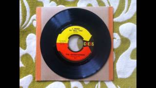 The Entertainers - I tried to tell you.wmv
