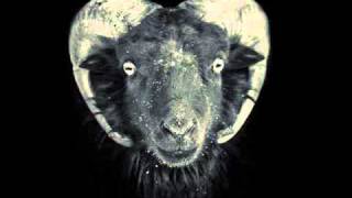 Heliotropes - True Love&#39;s Knot