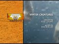 Zoboomafoo Closing And Funding Water Creatures 1999
