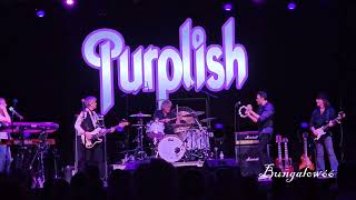 Purplish Tribute to Deep Purple 04/26/2024