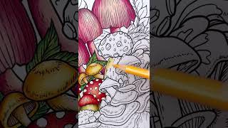 Mushroom Coloring Book | Colored Pencil | Coco Wyo #cocowyocoloringbook #cocowyo