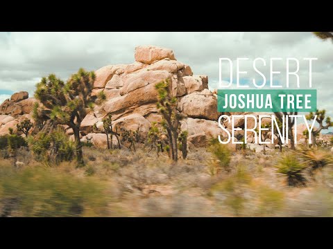 Thru My Eyes Photography video.