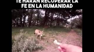 Fe en la humanidad restaurada