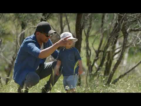 Curringa Farm - Accommodation and Farm Tours