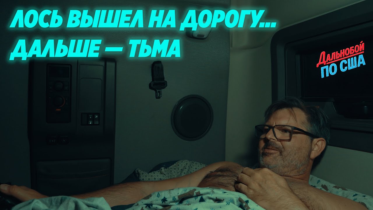 Везу дорогущий груз, а впереди — пустынная трасса и лоси. Риск, от которого т?