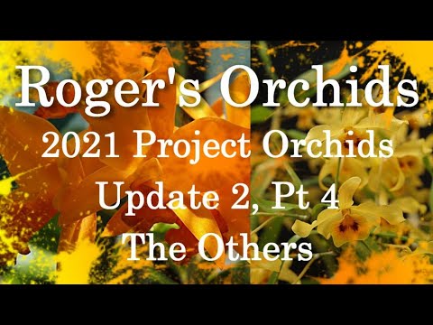 2021 Project Orchids Update 2, Pt 4 - The Others