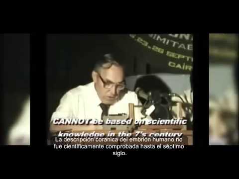 El sentido de la vida