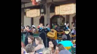 Mariachi divas 2016 amorcito mio