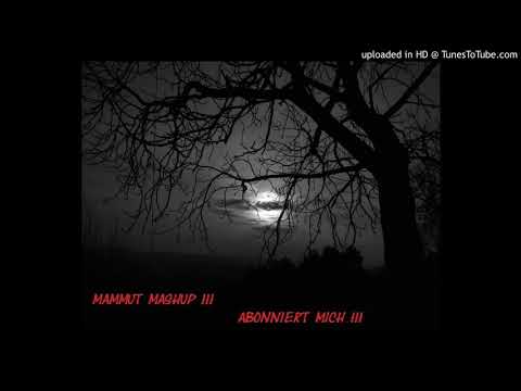 Kontra K x Chakuza x Capital Bra x Bushido x Metrickz x Fler x 2Pac feat LEA  110 Mammut Mashup