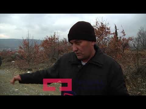 Varroset 13 vjeçari nga Suhareka