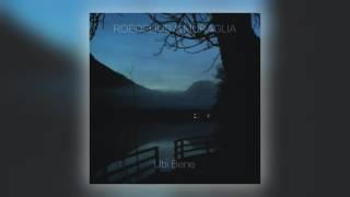 01 Hans Joachim Roedelius & Leon Muraglia - Kurhaus Skinnydip [Passus Records]