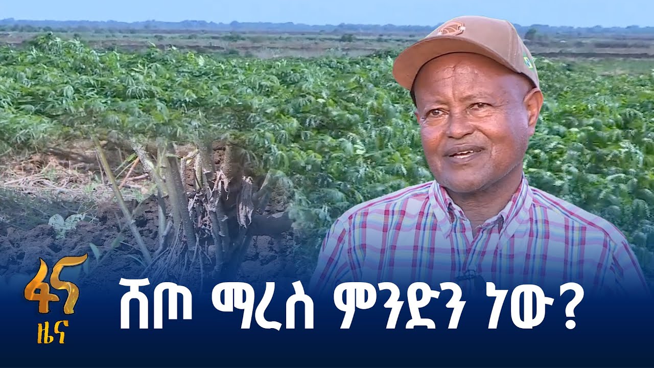 በካሳቫ የተተገበረ አሰራር