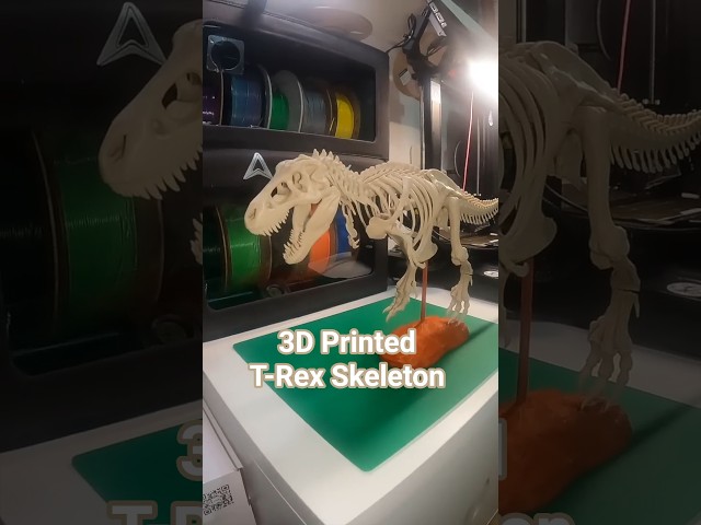 Vídeo relacionado con JOYIN Juguete esqueleto de animales con impresión 3D para Halloween, 6 unidades, con articulaciones con dinosaurios, cocodrilos, unicornios, ballenas, tiburones, perros, esqueletos, gatos, juguetes