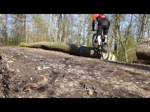 Liteville 301 - Fahrtechnik  Baumstamm gemischt | BIKEVIRUS