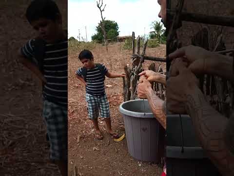 # reriutaba #ceara#lagoa grande