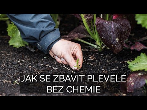 , title : 'Jak se zbavit plevele bez chemie'