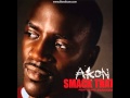 Akon Feat, Eminem - Smack That (Audio) 