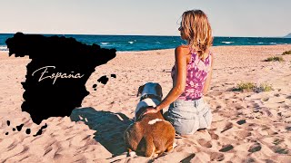 Impressionen aus Spanien - Playa Tavernes de la Valldigna #vanlife #camping #spanien #djiair2s