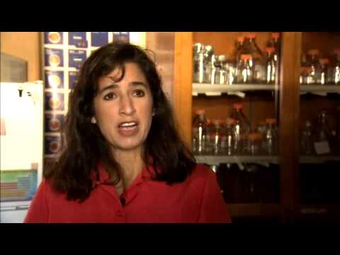 Those Over 60 May Have Immunity to H1N1 Virus