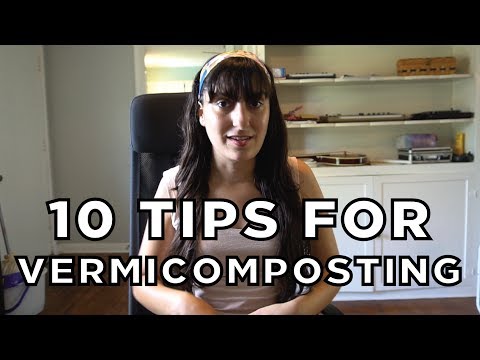 Top 10 Best Vermicomposting Tips - How To Maintain Your Vermicompost Bin