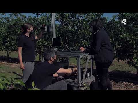 Fotograma del vídeo: Proyecto OPTIMA