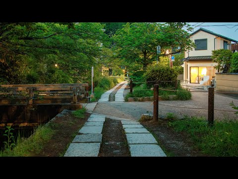 Quiet Dawn Walk along Philosopher's Path | Kyoto, Japan 4K Morning Ambience