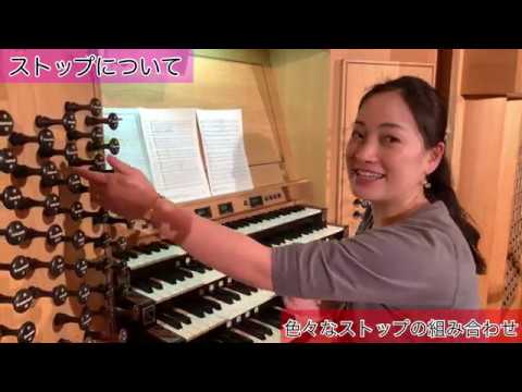 ユーフォニア ビオラセア オス