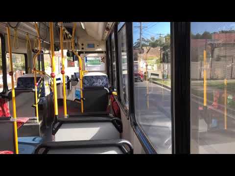 Transit Systems Kingsgrove 2460 ST - Scania K280UB/ZF Ecomat