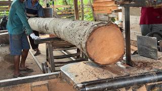 Choosing the Right Sawmill Machine for Cutting Coconut Trees 5x7