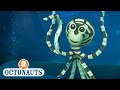 Octonauts The Mimic Octopus Cartoons For Kids Underwater Sea Education