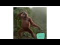 Monkey Dance