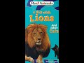 KidVision S Real Animals A Day With Lions And Other Cats