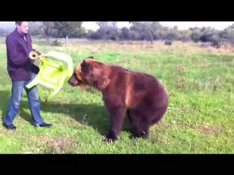 My name Pavel and this is my bear | Mi nombre  Pavel y este es mi oso