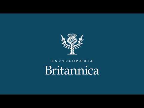 Why People Thought Women Shouldn't Vote